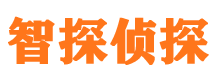 宣化侦探公司